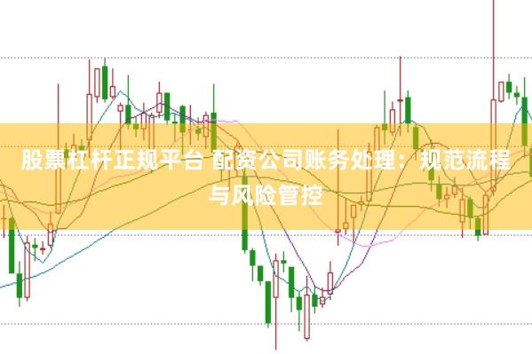 股票杠桿正規(guī)平臺(tái) 配資公司賬務(wù)處理:規(guī)范流程與風(fēng)險(xiǎn)管控