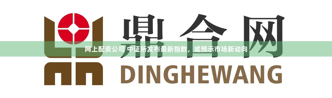 網上配資公司 中證所發布最新指數，或預示市場新動向