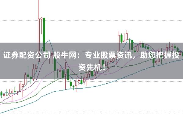 證券配資公司 股牛網：專業股票資訊，助您把握投資先機！